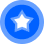 pointStarIcon